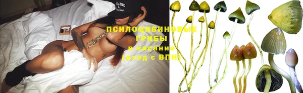 мяу мяу мука Киреевск