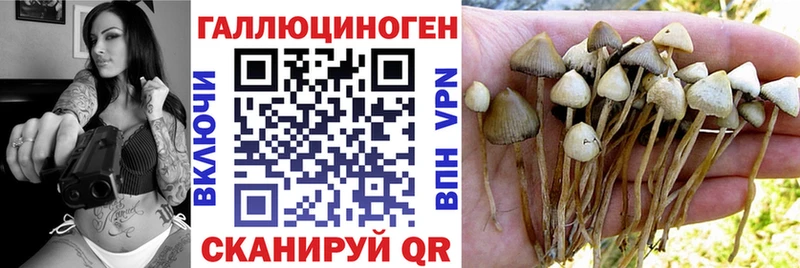 Купить где  Бирск  Галлюциногенные грибы Cubensis 