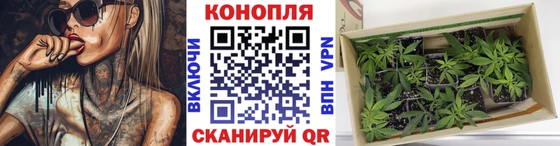 МАРИХУАНА индика  Купить где  Бирск 